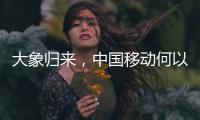 大象归来�，中国移动何以争霸A股“王座”？