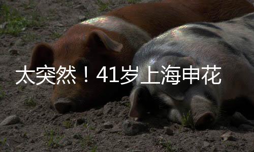 据川崎当地警察署透露
