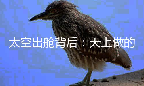 航天员必须依靠平安系绳