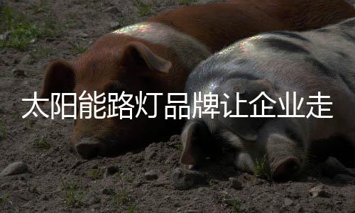 太阳结合区域特色定位