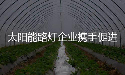 增添服务的太阳多样性
