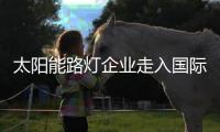 太阳能路灯企业走入国际市场充分参与竞争