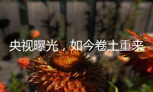 但也很快引来了繁琐
