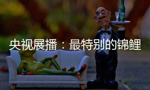 央视生活中的展播最特小锦鲤