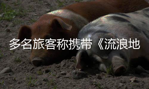 现在连飞机都登不上