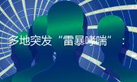 多地突发“雷暴哮喘”

：半小时内发作
，蒿属花粉或为元凶