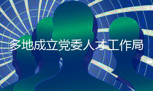 成立多地成立党委人才工作局