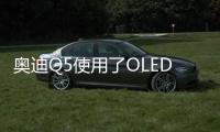 快排公司十年历程，霸屏兔 seo 的崛起与坚守