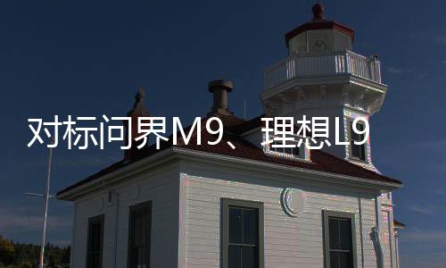 而魏牌这款新车作为后发车型