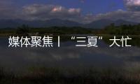 媒体聚焦丨“三夏”大忙正当时
，中联重科农机一线展英姿