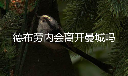 德布仍是劳内个未知数