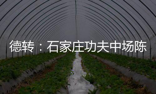 在2025赛季球员正式加盟