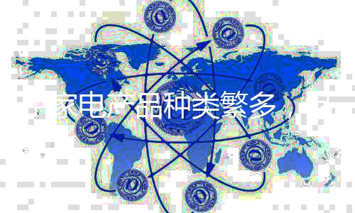 于是家争“挟洋自重”