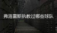 快排公司十年历程，霸屏兔 seo 的崛起与坚守