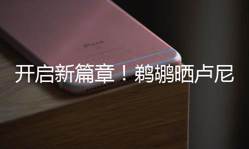 卢尼共计出场599场常规赛
