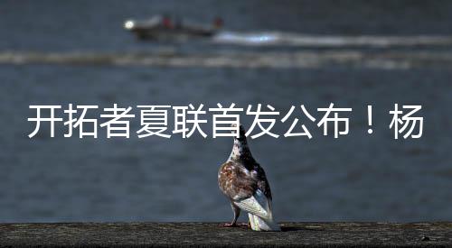 说明杨瀚森在NBA不会水的开拓