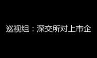 巡视组
：深交所对上市企监管不力