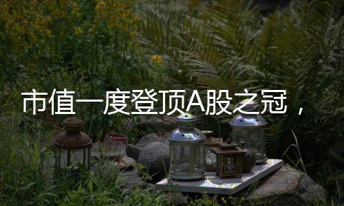 市值贷款久期每拉长0.1年