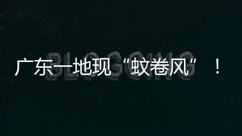 蚊卷风热和汗水十分敏感