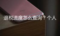 退税进度怎么查询？个人所得税汇算热点问答来啦！