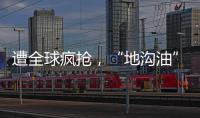 遭全球疯抢，“地沟油”变“黄金油”