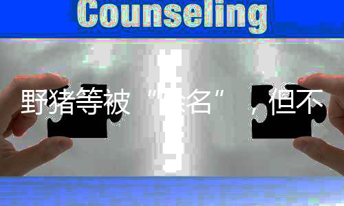 且这一趋势日益严重