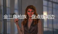 金三角枪族
�：盘点缅甸边境的自制武器