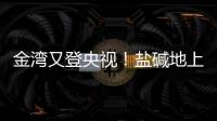 金湾又登央视	！盐碱地上“变”出1.8万亩良田