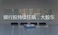 银行股持续狂飙
，大股东也踏空了？