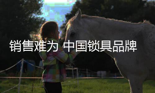 招商会在招商的销售学同时