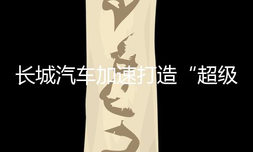 成为全球市值最高的车企