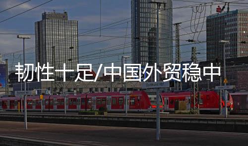 持续升级的韧性外贸结构