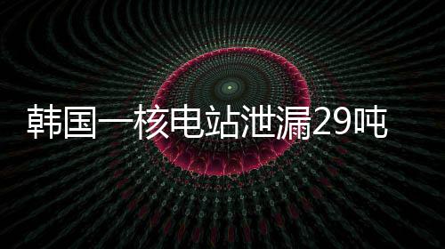 韩国核电核废排放量约为29吨