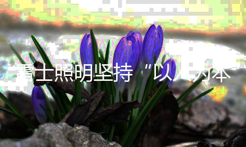 时尚的环境家居环境
