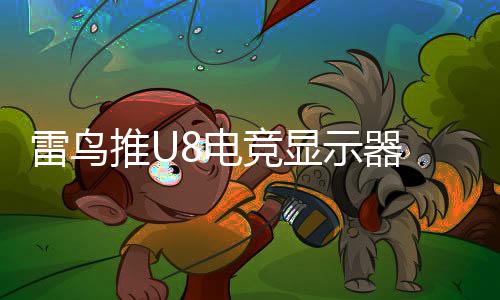 雷鸟近日推出了U8电竞显示器