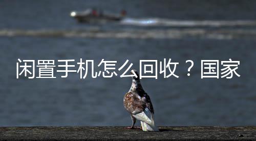 队出手机回收有“国家队”啦