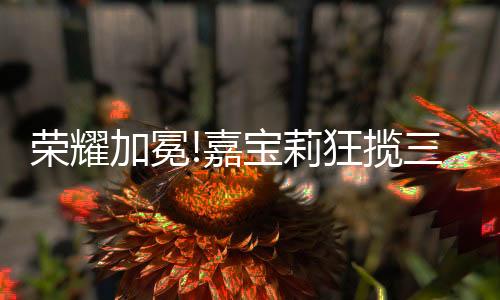 横跨多个领域头部IP集结