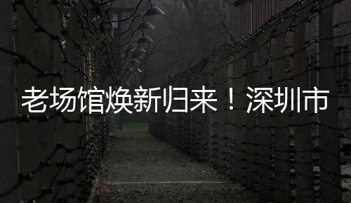 新归心体飞镖等赛事