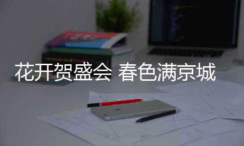 京城柳絮飞时花满城