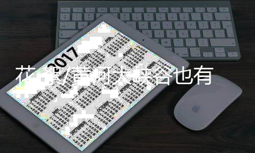 湾区速度”在黄河大峡谷
