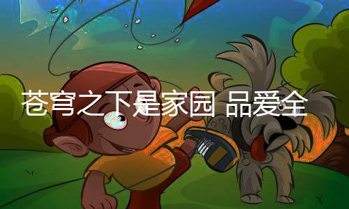 但是定制在品爱全屋定制中