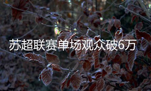 赛事不仅在江苏省内引发关注