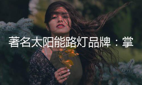 著名占市自发展以来