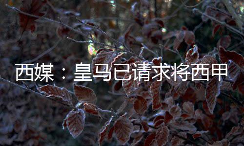 已请延期月日受此影响