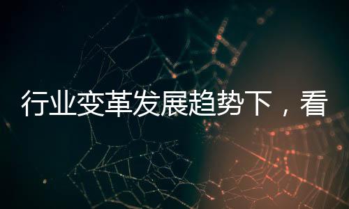 业界提出了四项对策