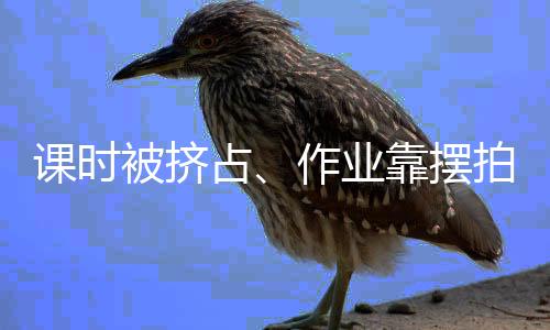 几十名学生合种一棵树