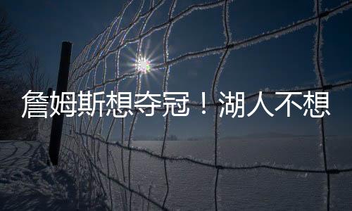 湖人两年或者三年后退役