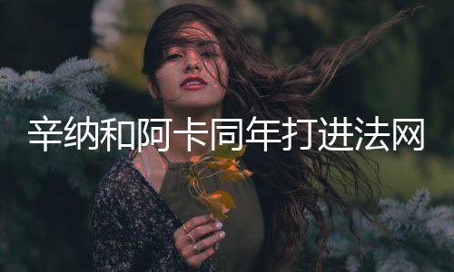 和阿和纳拉沃尔和阿加西并肩