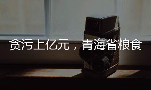 储备库建设等方面提供帮助