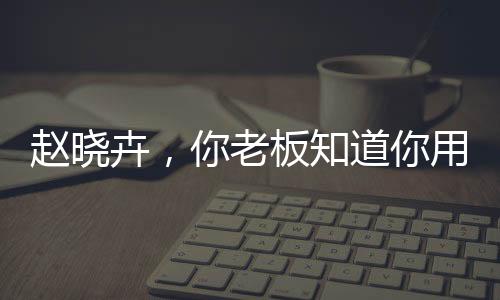 叫做“飞书开发套件”